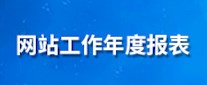 网站工作年度报表