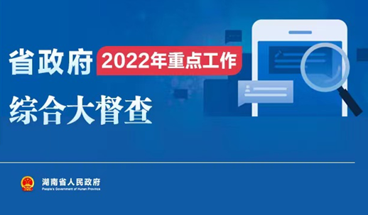 专栏丨省政府2022年重点工作综合大督查