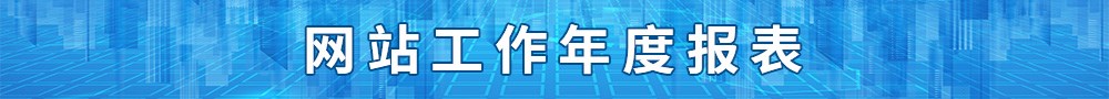 网站工作年度报表