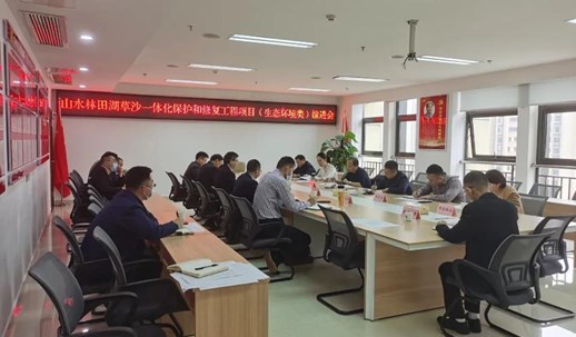 李宏秋调度山水林田湖草沙一体化项目