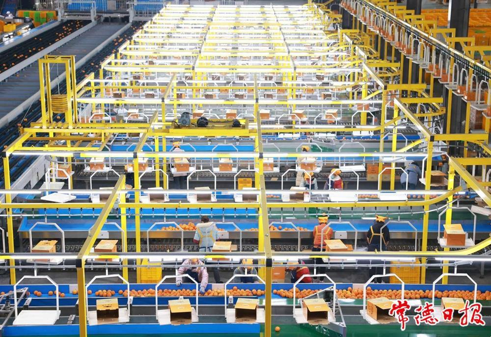 0a3771af98e2424880b457a29438fb75.jpg 0a3771af98e2424880b457a29438fb75.jpg