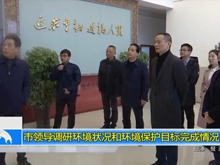 市领导调研环境状况和环境保护目标完成情况
